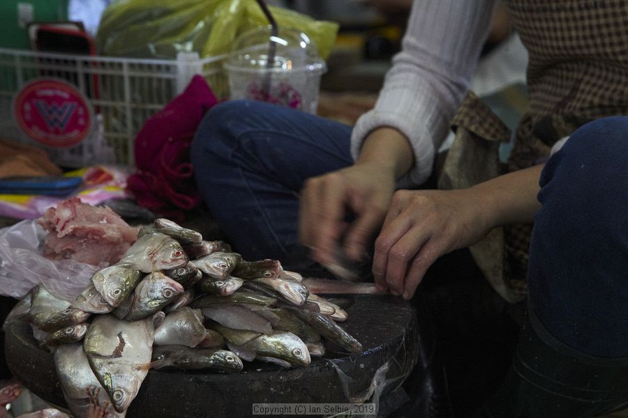 Old Market, Siem Reap, Cambodia
