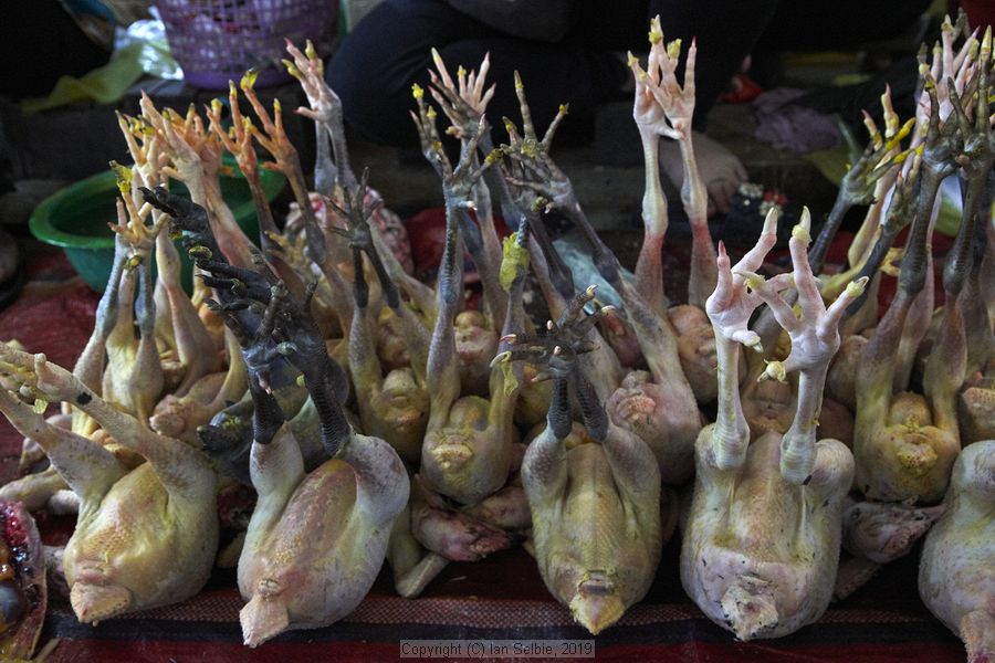Old Market, Siem Reap, Cambodia