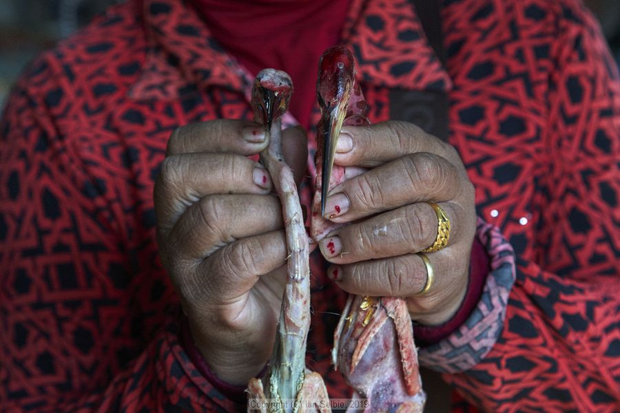 Psar Kraoum Market, Siem Reap, Cambodia