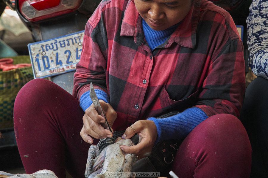 Psar Kraoum Market, Siem Reap, Cambodia