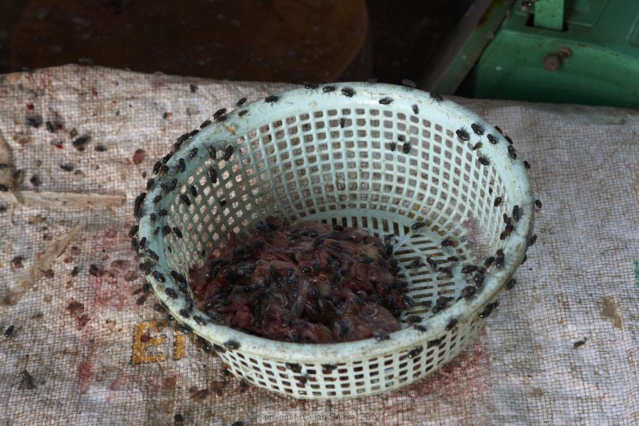 Psar Kraoum Market, Siem Reap, Cambodia