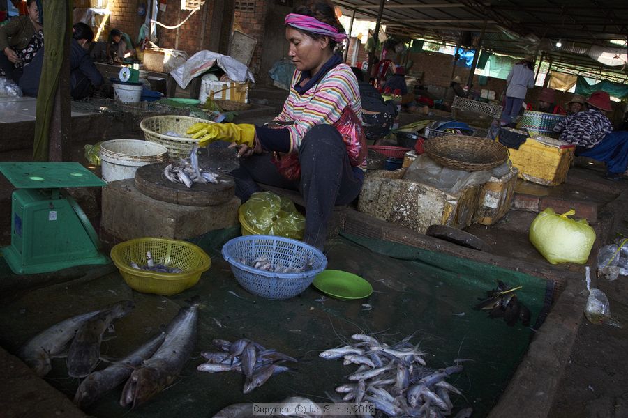 Psar Kraoum Market, Siem Reap, Cambodia