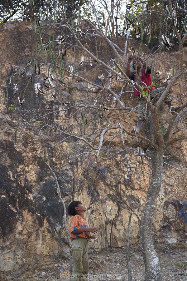 Village and market life in and around Phnom Krom, Cambodia