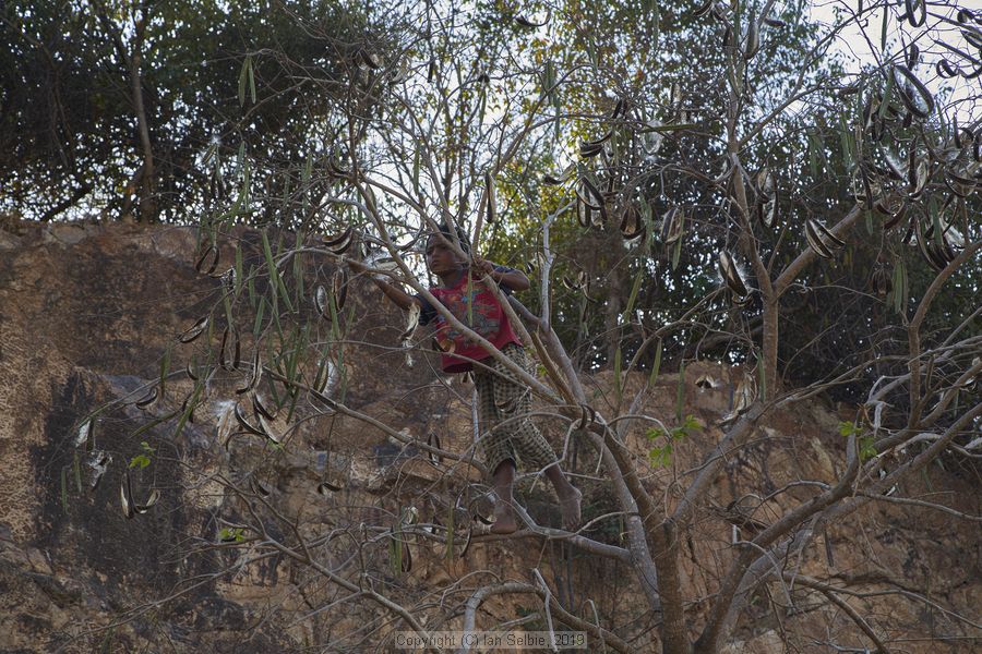 Village and market life in and around Phnom Krom, Cambodia