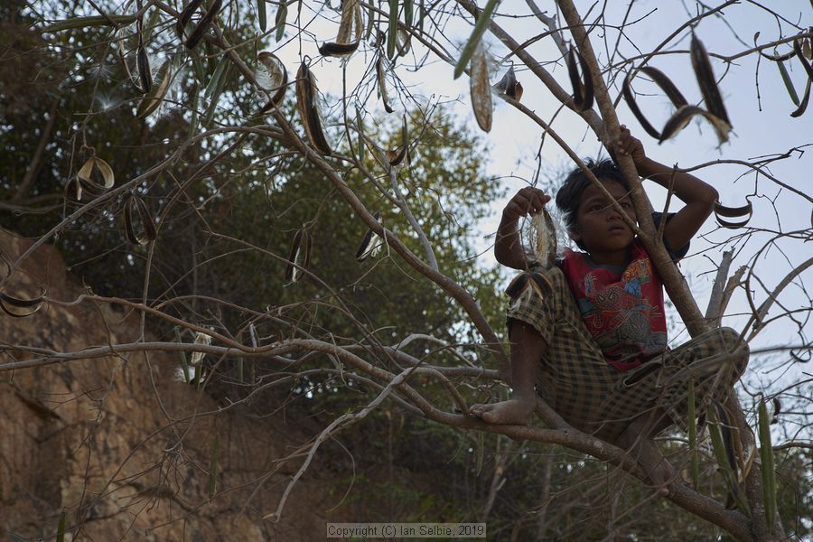 Village and market life in and around Phnom Krom, Cambodia