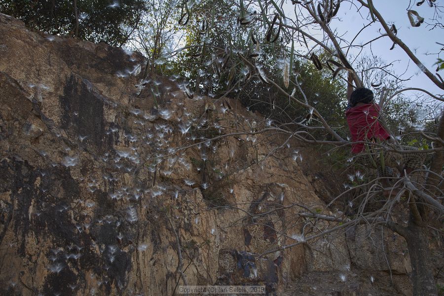 Village and market life in and around Phnom Krom, Cambodia