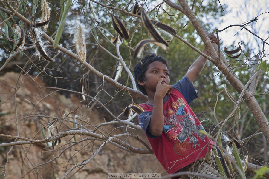 Village and market life in and around Phnom Krom, Cambodia