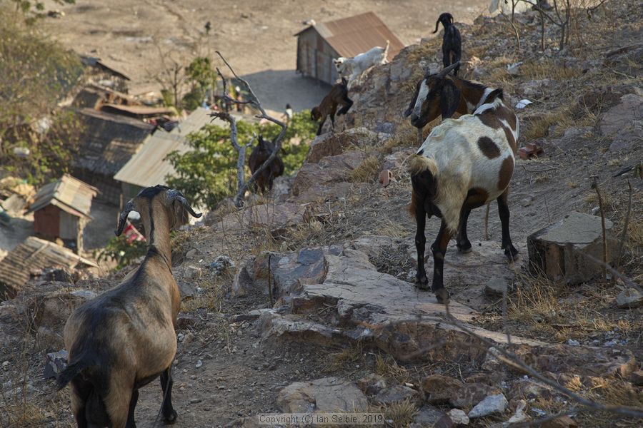 Village and market life in and around Phnom Krom, Cambodia