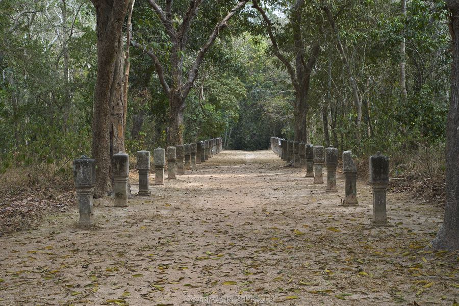 Temple near Siem Reap, Cambodia