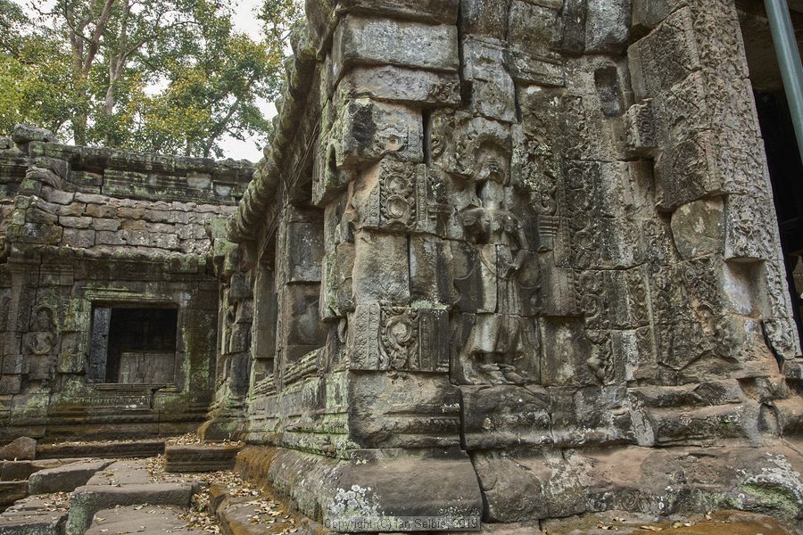 Ta ProhmTemple, Siem Reap, Cambodia