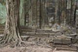 Ta ProhmTemple, Siem Reap, Cambodia