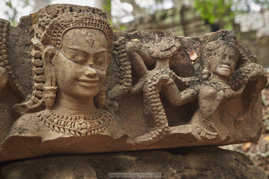 Ta ProhmTemple, Siem Reap, Cambodia