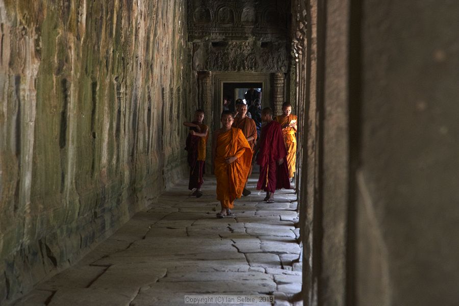 Ta ProhmTemple, Siem Reap, Cambodia