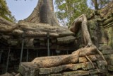 Ta ProhmTemple, Siem Reap, Cambodia