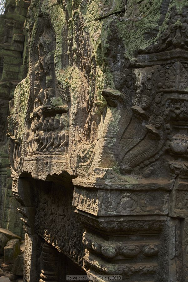 Ta ProhmTemple, Siem Reap, Cambodia