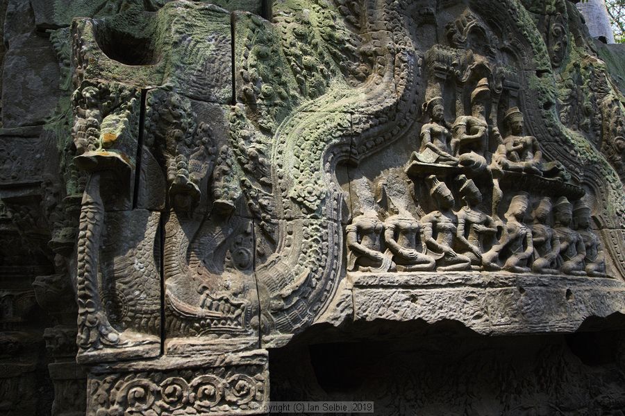 Ta ProhmTemple, Siem Reap, Cambodia