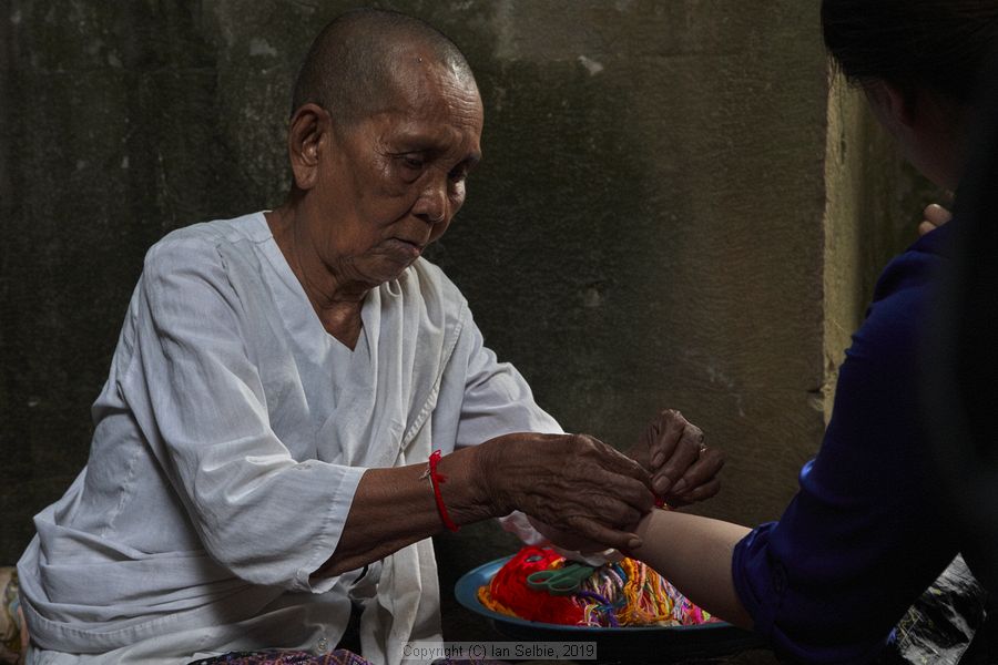 Ta ProhmTemple, Siem Reap, Cambodia