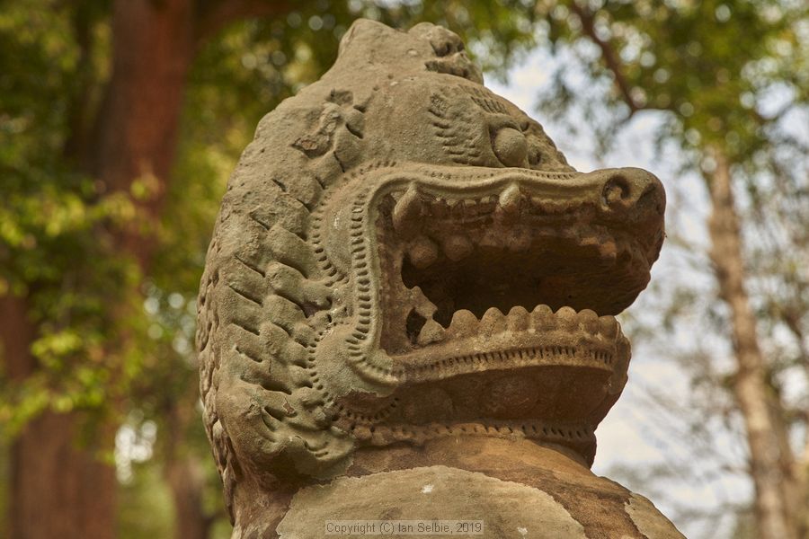 Ta ProhmTemple, Siem Reap, Cambodia