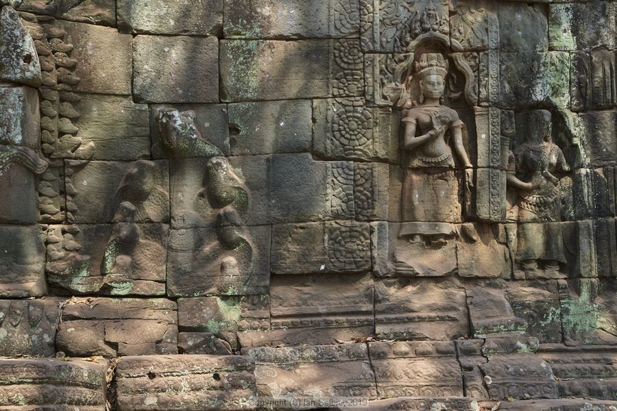 Ta ProhmTemple, Siem Reap, Cambodia