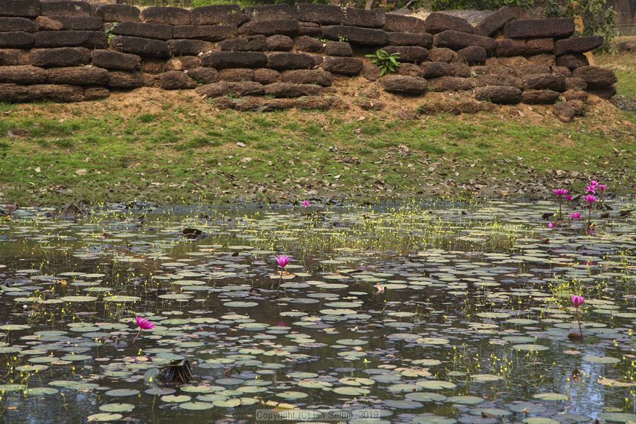 Banteay Srei Temple near Siem Reap, Cambodia