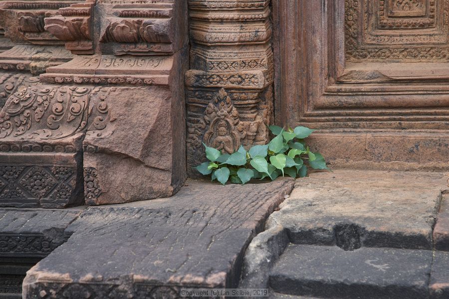 Banteay Srei Temple near Siem Reap, Cambodia