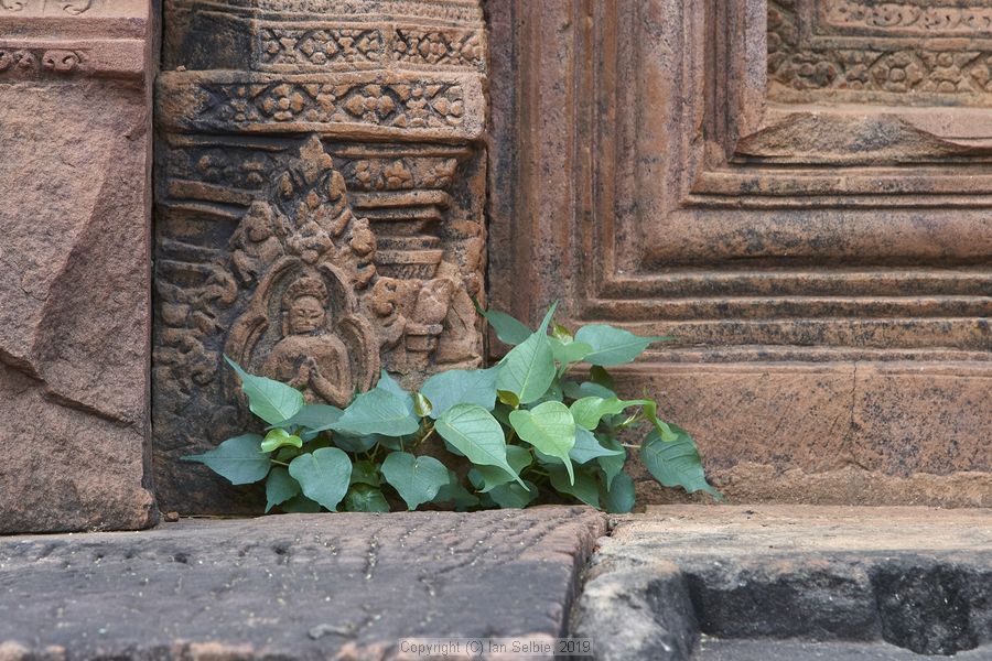 Banteay Srei Temple near Siem Reap, Cambodia