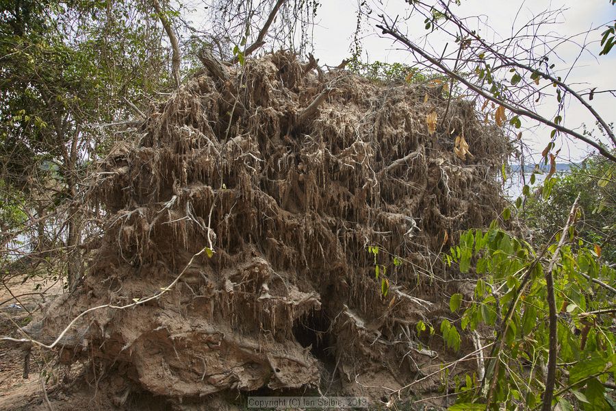 Temple near Siem Reap, Cambodia