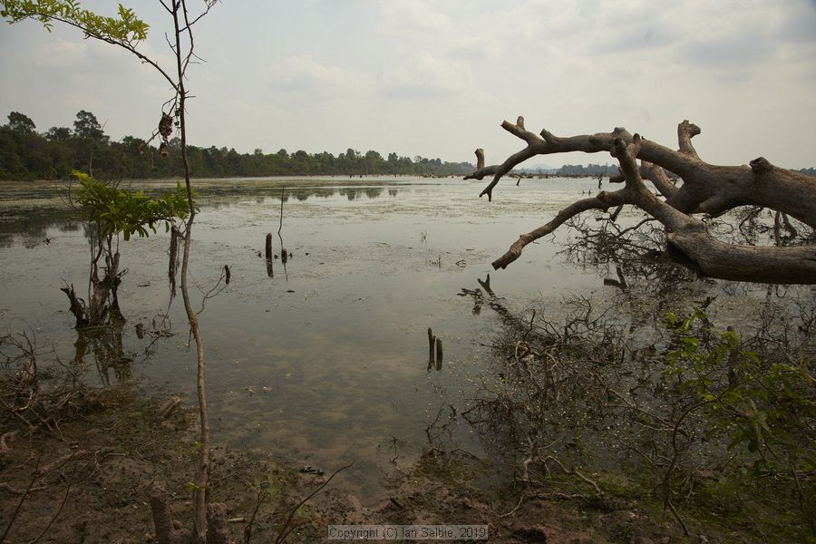 Temple near Siem Reap, Cambodia