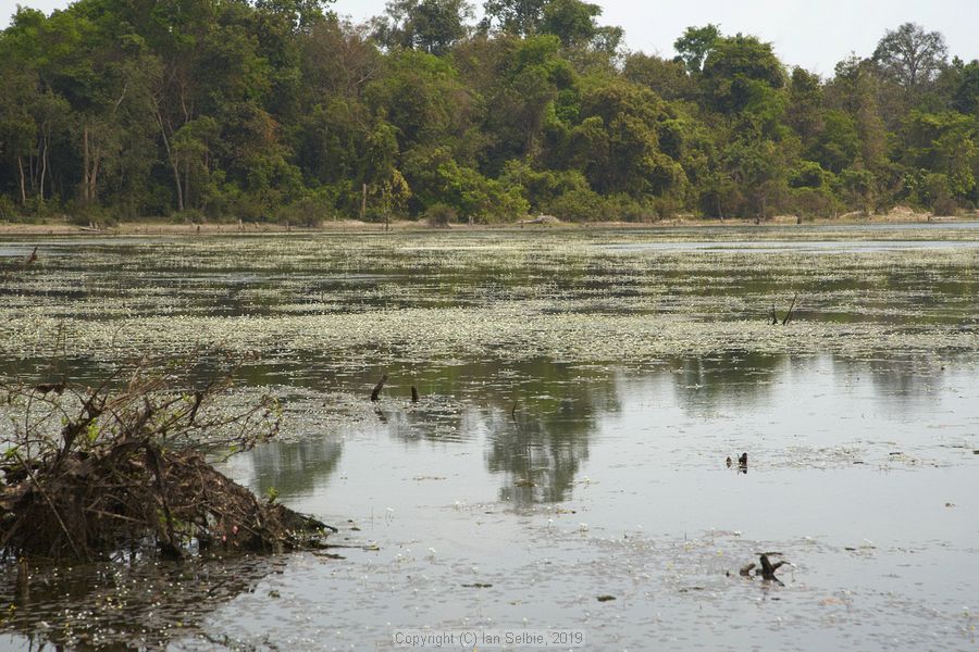 Temple near Siem Reap, Cambodia