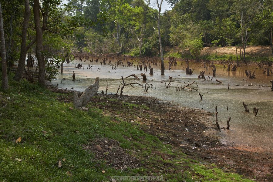 Temple near Siem Reap, Cambodia