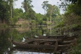 Temple near Siem Reap, Cambodia