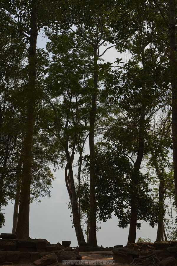 Temple near Siem Reap, Cambodia