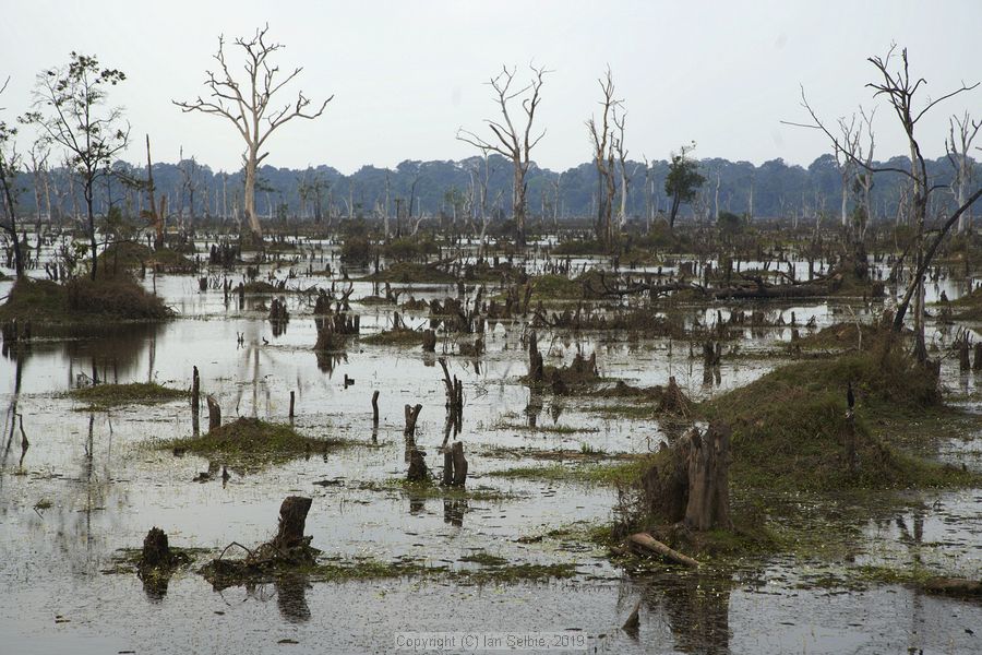 Prasat Neak Pean, Siem Reap, Cambodia