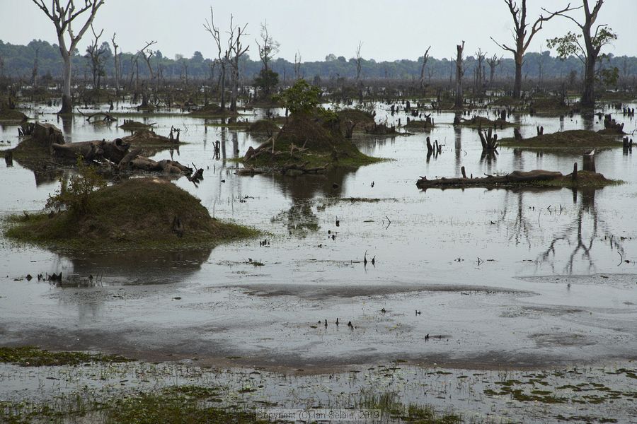 Prasat Neak Pean, Siem Reap, Cambodia