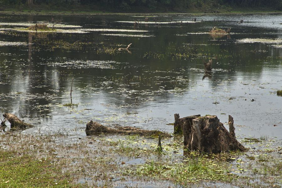 Prasat Neak Pean, Siem Reap, Cambodia