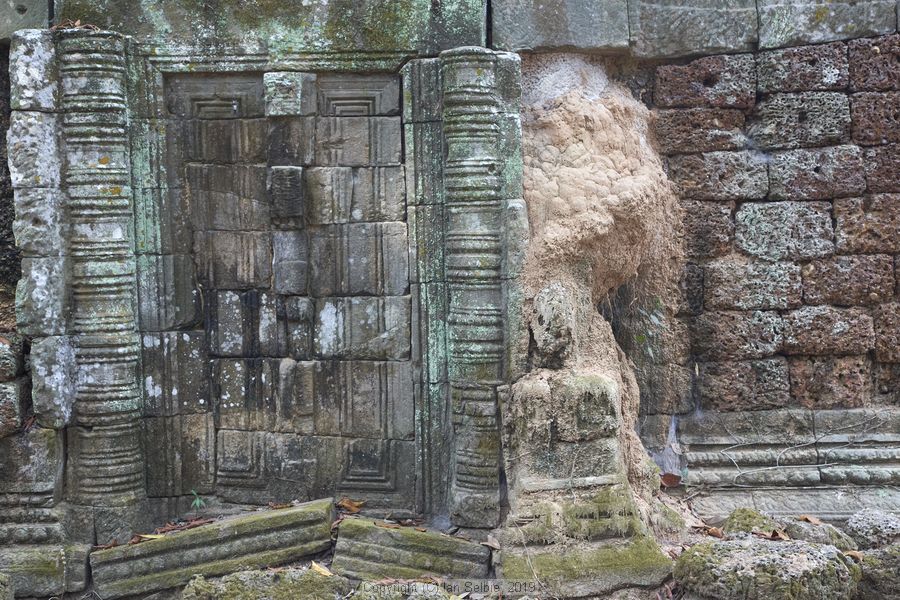 Ta SomTemple near Siem Reap, Cambodia