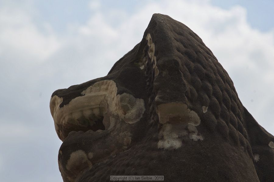 Ta SomTemple near Siem Reap, Cambodia