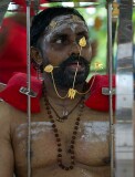 Thaipusam 2005, Singapore