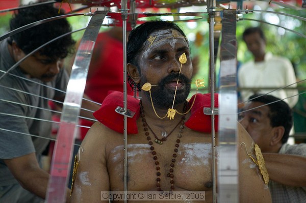 Thaipusam 2005, Singapore