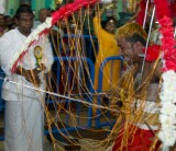 Thaipusam 2005, Singapore