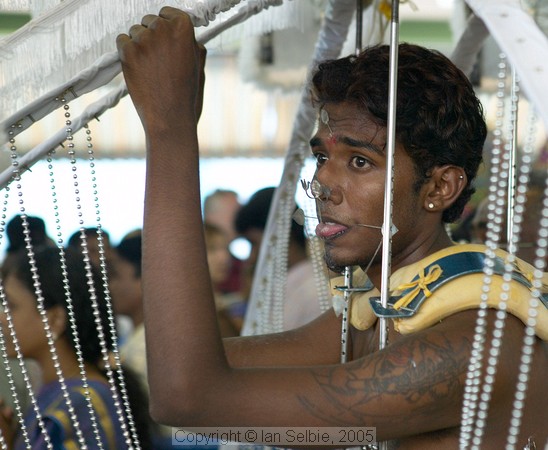 Thaipusam 2005, Singapore