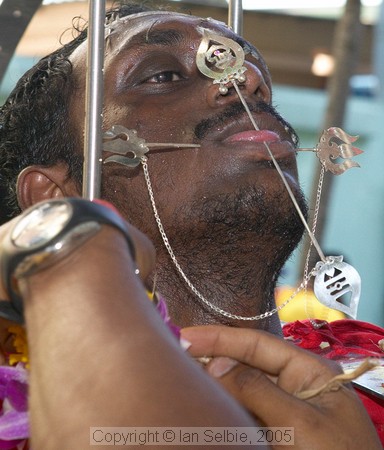 Thaipusam 2005, Singapore