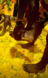 Yellow Tumeric powder everywhere on the floor at the Thimithi (fire walking) ceremony, Singapore 2003