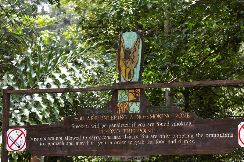 Semenggoh Orang Utang Rehabilitation Centre, Sarawak, East Malaysia (Borneo)